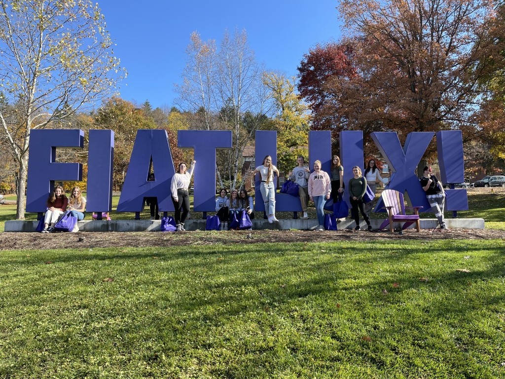 Students standing in front of a large sign at Alfred University.