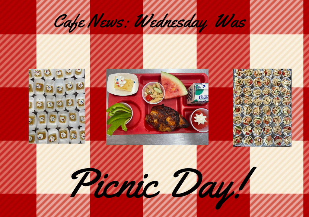 Red and white checked background with pictures of bbq chicken, pasta salad, watermelon and cake. Text reads: Cafe news: Wednesday was Picnic Day!